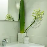 Flamingo Rosa *