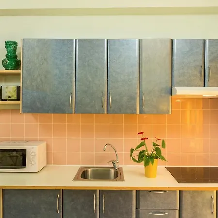 Flamingo Rosa * Arinaga